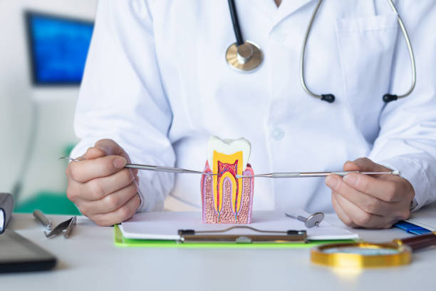 Best Emergency Root Canal Treatment in Tukwila, WA